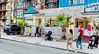 "Евродвушка" 2х-комнатная квартира, Адлер