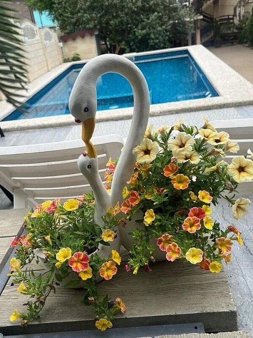 "Прохлада" гостевой дом, Волконка Фото: 2 из 51