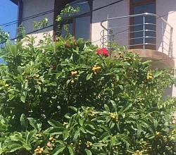 "Viva Сильвия" гостевой дом