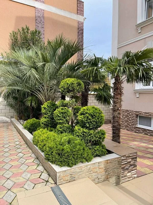 "Айше" гостевой дом, Ялта Фото: 8 из 38
