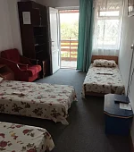 "Семейный (со всеми удобствами)" 4х-местный