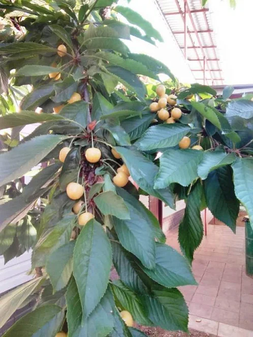 "На Победе" частное домовладение, Волна Фото: 9 из 40