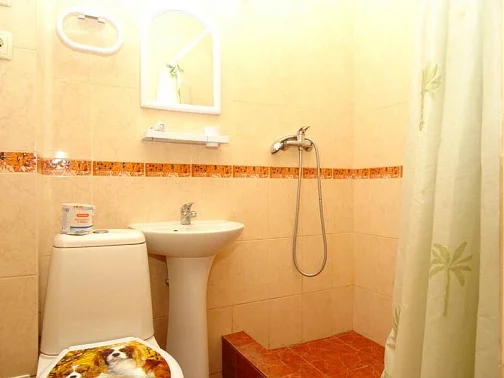 Частное домовладение ул. Центральная, Рыбачье Фото: 44 из 50