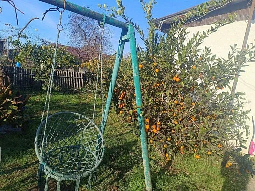 "У Вадима" гостевой дом, Агудзера Фото: 3 из 23