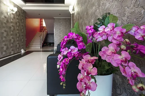 "Орхидея" гостиница,  Фото: 8 из 47