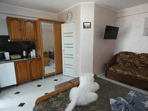 "В гостях у Ирушки" гостевой дом, Коктебель Фото: 8 из 22