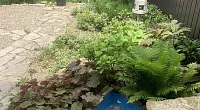 Дом под-ключ Розмариновая 71, Сукко