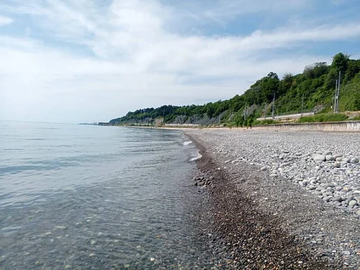 1-комнатная квартира Тормахова 2/1, Лазаревское Фото: 26 из 26