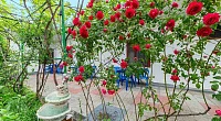 "Малый исток" мини-гостиница, Анапа