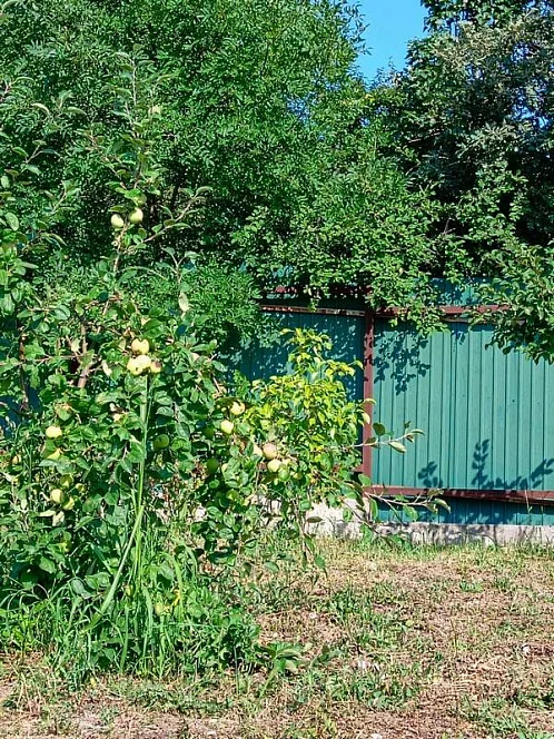 Дом под-ключ Кедровая 38, Геленджик Фото: 17 из 17