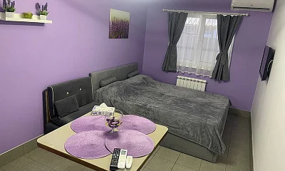 Квартира-студия Александровский 10, Кудепста Фото: 1 из 13