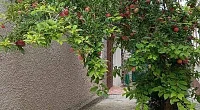2х-комнатный дом под-ключ Эскадронная 12/16, Евпатория