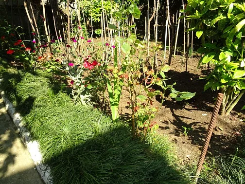 Частный сектор Кабардинская 5-й тупик 4, Гагра Фото: 8 из 33