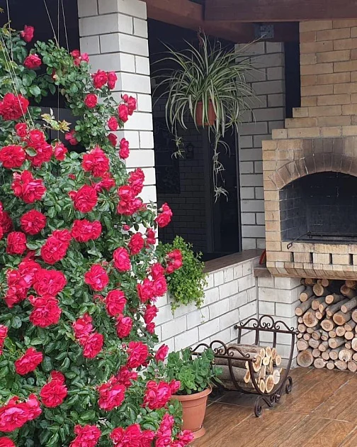 "Пляж" мини-гостиница, Голубицкая Фото: 15 из 51