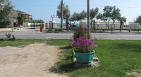 "У Аллы и Юры" частный сектор, Евпатория