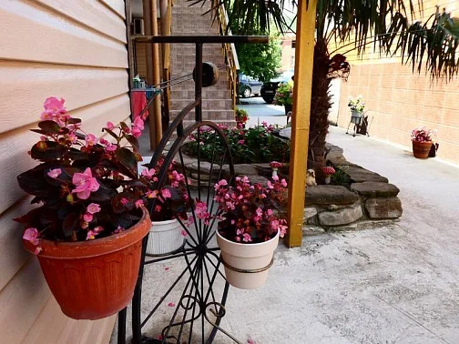 "ЭВА" гостевой дом, Новомихайловский Фото: 13 из 26