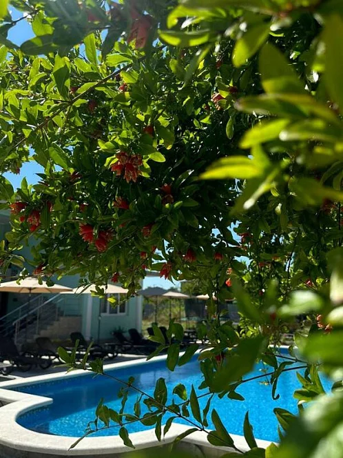 "Ася" гостевой дом, Цандрипш Фото: 4 из 18