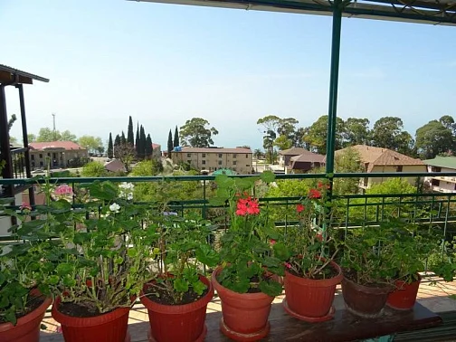 Частный сектор Генерала Дбар 163, Гагра Фото: 8 из 23