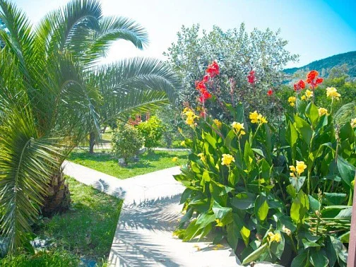 "Мэри" гостиница, Новый Афон Фото: 22 из 51