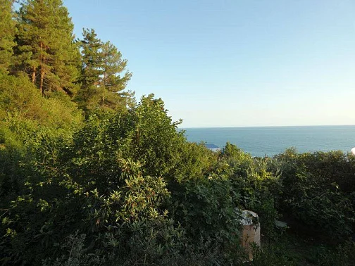"С видом на море" гостевой дом, Цандрипш Фото: 6 из 15