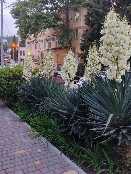 "Инжир" дом под-ключ, Алушта Фото: 2 из 32