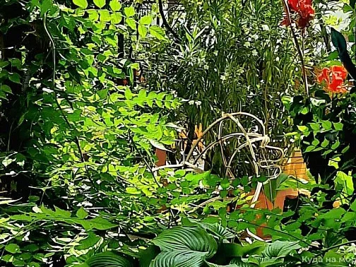 "Солнце" частный сектор, Кабардинка Фото: 13 из 51