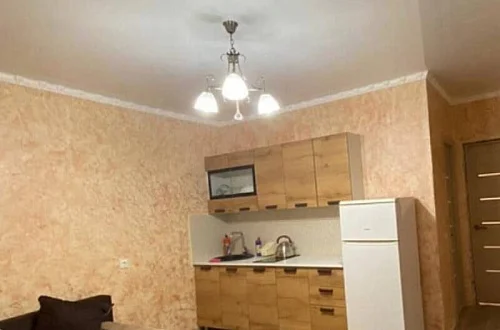 Студия с кухней Фото: 2 из 11