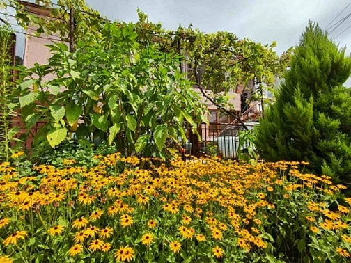 2х-комнатная квартира Кабардинская 155, Гагра Фото: 3 из 15