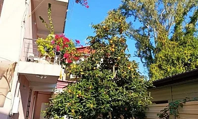 "ЗЕБ" гостевой дом, Адлер Фото: 1 из 42