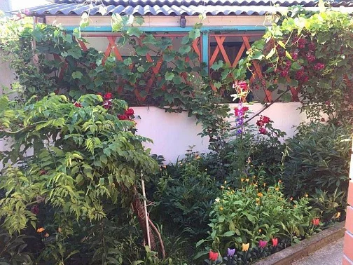 "Гостевые Домики У Светланы Зеленый Дворик" частный сектор, Сукко Фото: 5 из 34