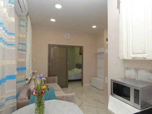 1-комнатная квартира Депутатская 10/Е, Сочи Фото: 19 из 32