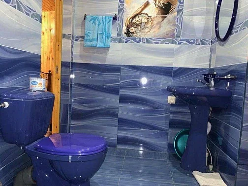 "Летний Рай" частный сектор, Лдзаа Фото: 29 из 50