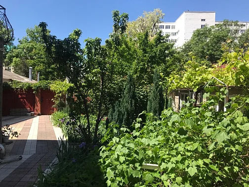 "Любава" гостевой дом, Анапа Фото: 4 из 4