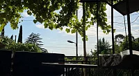 "Элмас" гостевой дом, Гагра