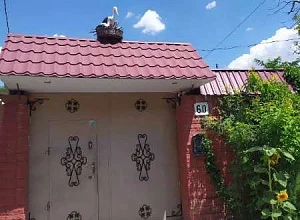 "Аист на крыше" гостевой дом Евпатория