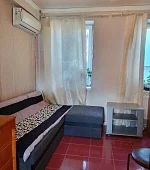 "1-комнатный"