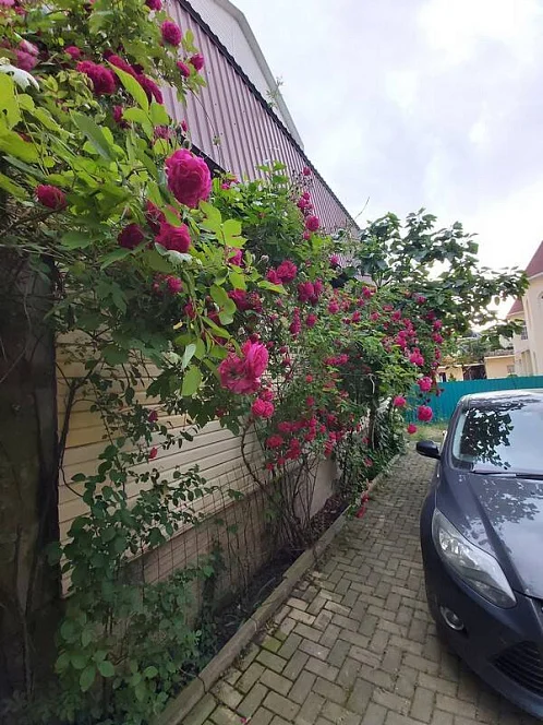 "На Морской" частный сектор, Новомихайловский Фото: 4 из 25