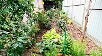 Частный сектор Мира 28/а, Бетта