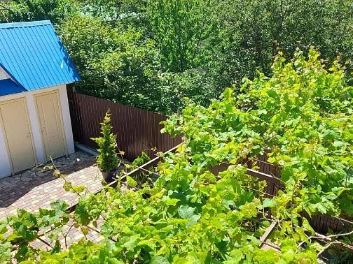 "Жилье на Герцена" частное домовладение, Геленджик Фото: 4 из 45