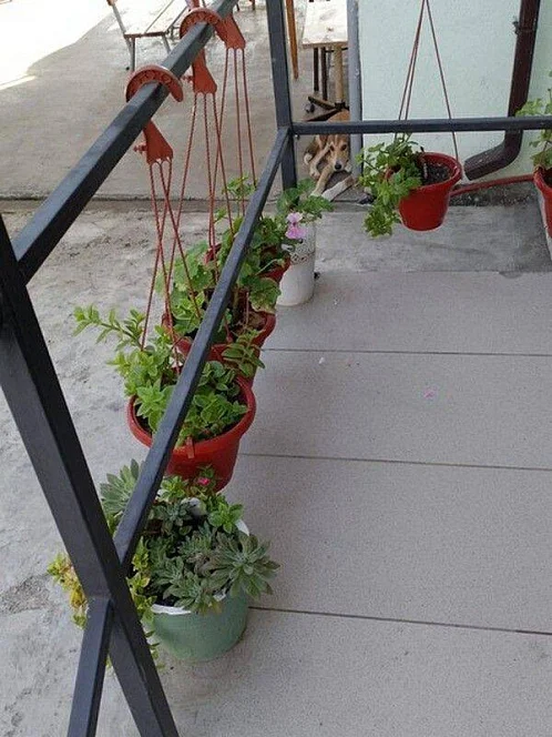 "Алые паруса" гостевой дом, Новый Афон Фото: 10 из 34