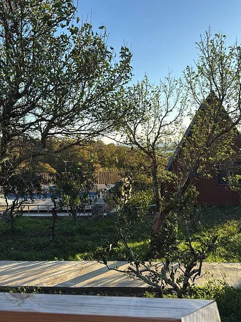 "Родные места" база отдыха, Асечкуа Фото: 18 из 47