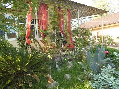 "Цветок Абхазии" гостевой дом, Гечрипш Фото: 12 из 42
