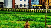 Квартира-студия Весёлая 28 кв 6, Сочи