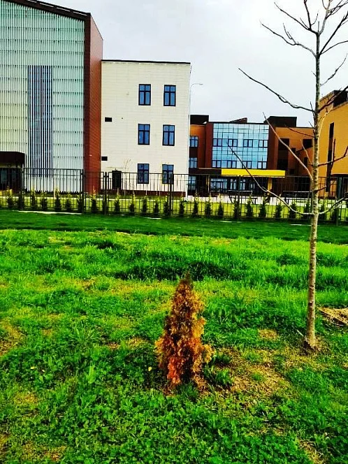Квартира-студия Весёлая 28 кв 6, Сочи Фото: 2 из 4