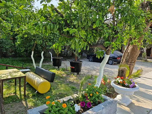 "Камелия" гостевой дом, Пицунда Фото: 3 из 30