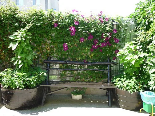 "Солнце Витязево" мини-гостиница, Витязево Фото: 3 из 36