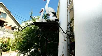 "Соня" гостевой дом, Лермонтово