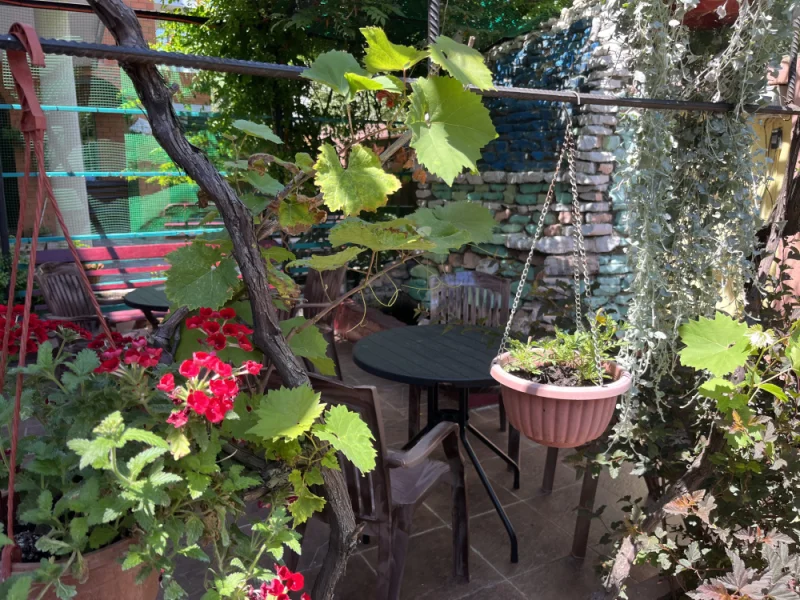 "Пиросмани" гостевой дом, Геленджик Фото: 20 из 22