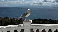Квартира-студия Южнобережный спуск 3, Алупка