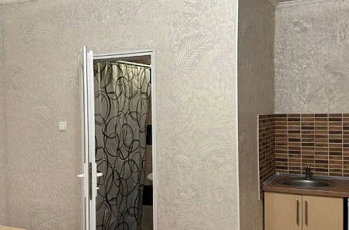 1-комнатный с кухней Фото: 15 из 24